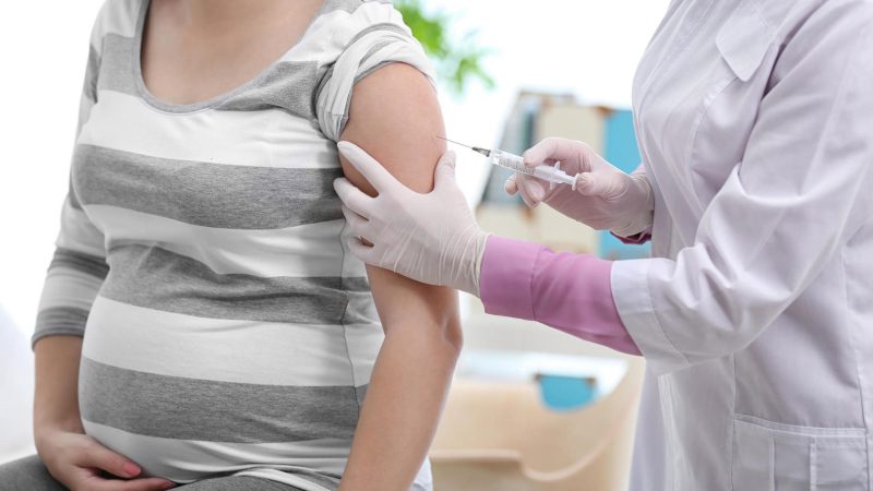 Making Sure That You Have a Safe and Healthy Pregnancy