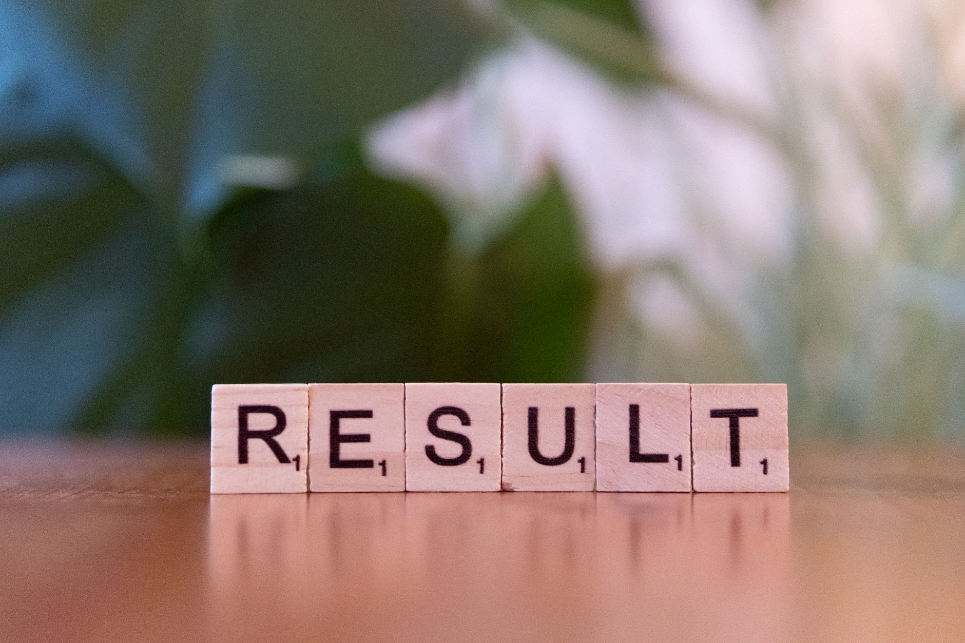 Avenue Supermarts Q2 results